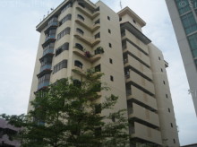 Mar Thoma Mansions (D12), Apartment #1162252
